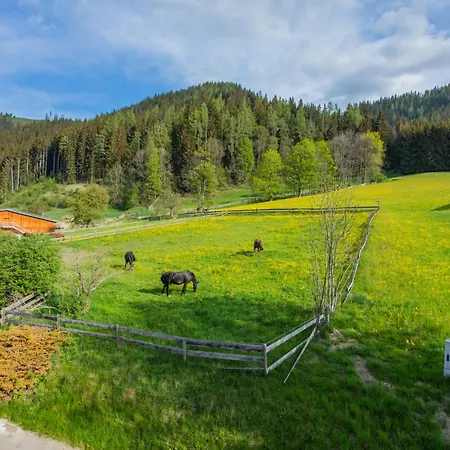 Huberhof 2 By Alpenidyll Schladming